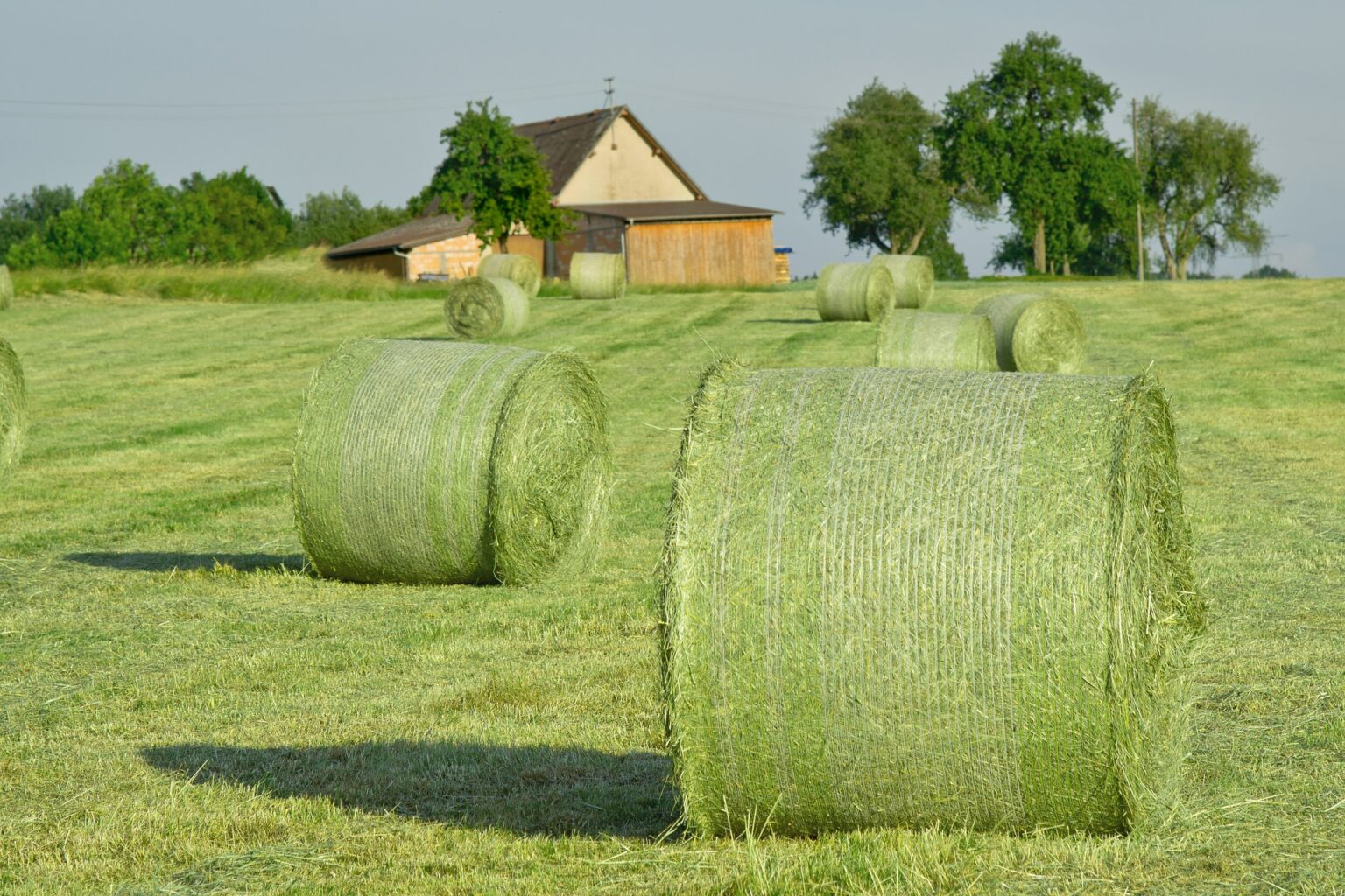 Heuballen Heuanalyse