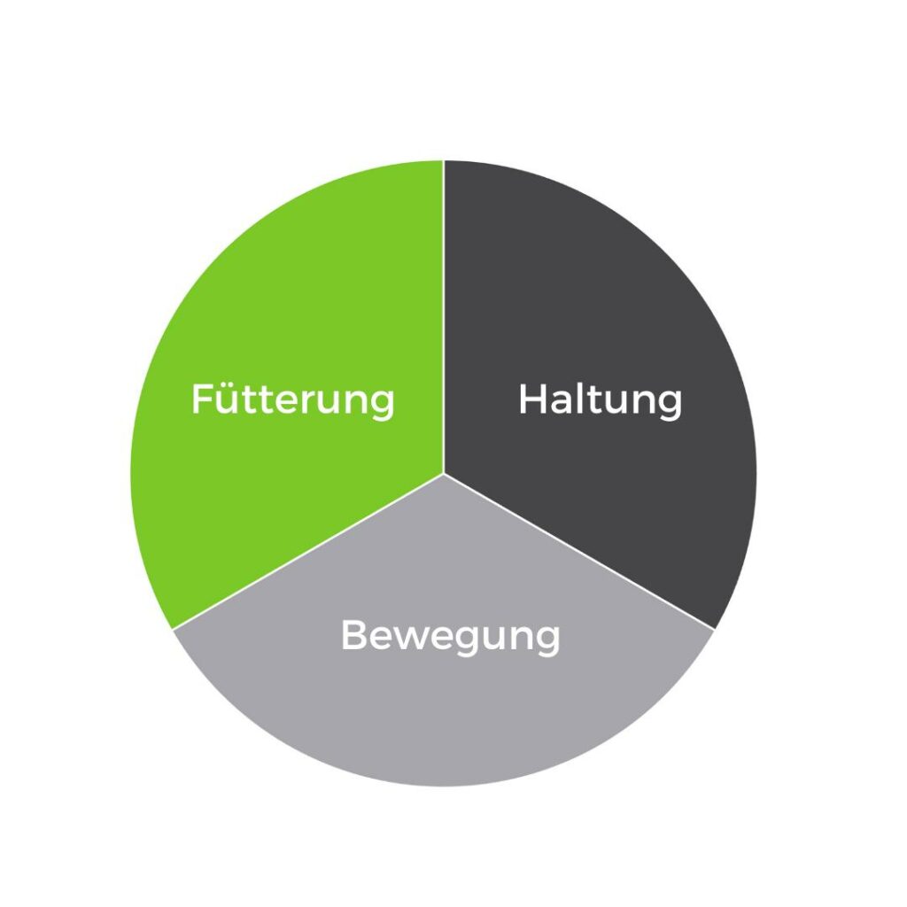 Fütterung Haltung Bewegung